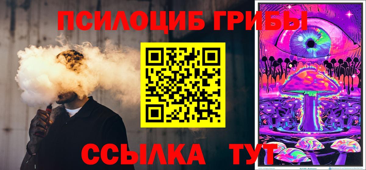 Галлюциногенные грибы MAGIC MUSHROOMS  Вход с VPN  Щёлково 